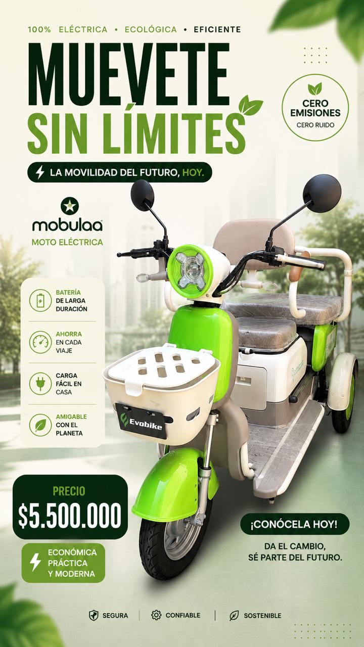 MOTONETA ELÉCTRICA FAMILY Q 3 PUESTOS | Potencia, comodidad y ahorro en cada recorrido - Mercacity Colombia