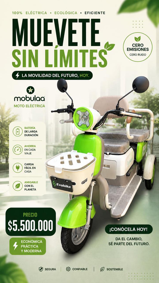 MOTONETA ELÉCTRICA FAMILY Q 3 PUESTOS | Potencia, comodidad y ahorro en cada recorrido - Mercacity Colombia